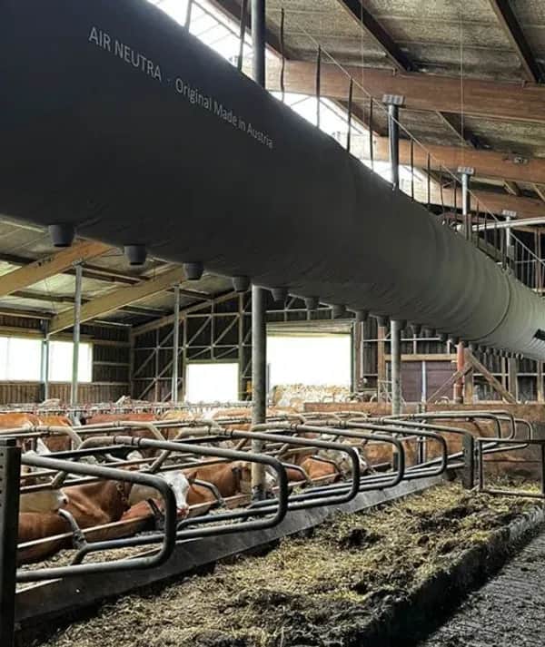 Effiziente Lösung gegen schlechte Stallluft