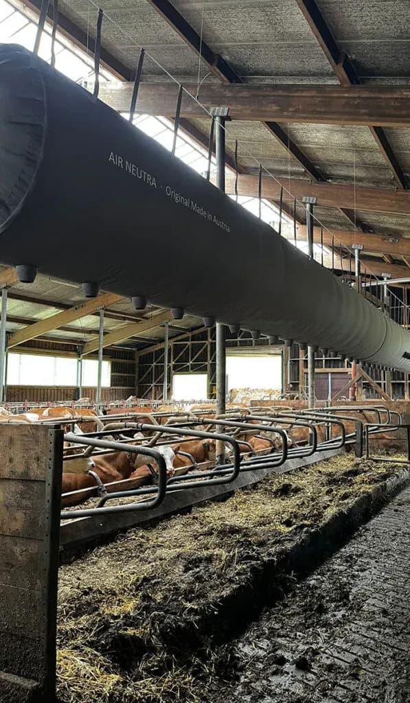 Tierwohl durch moderne Belüftungssysteme verbessern