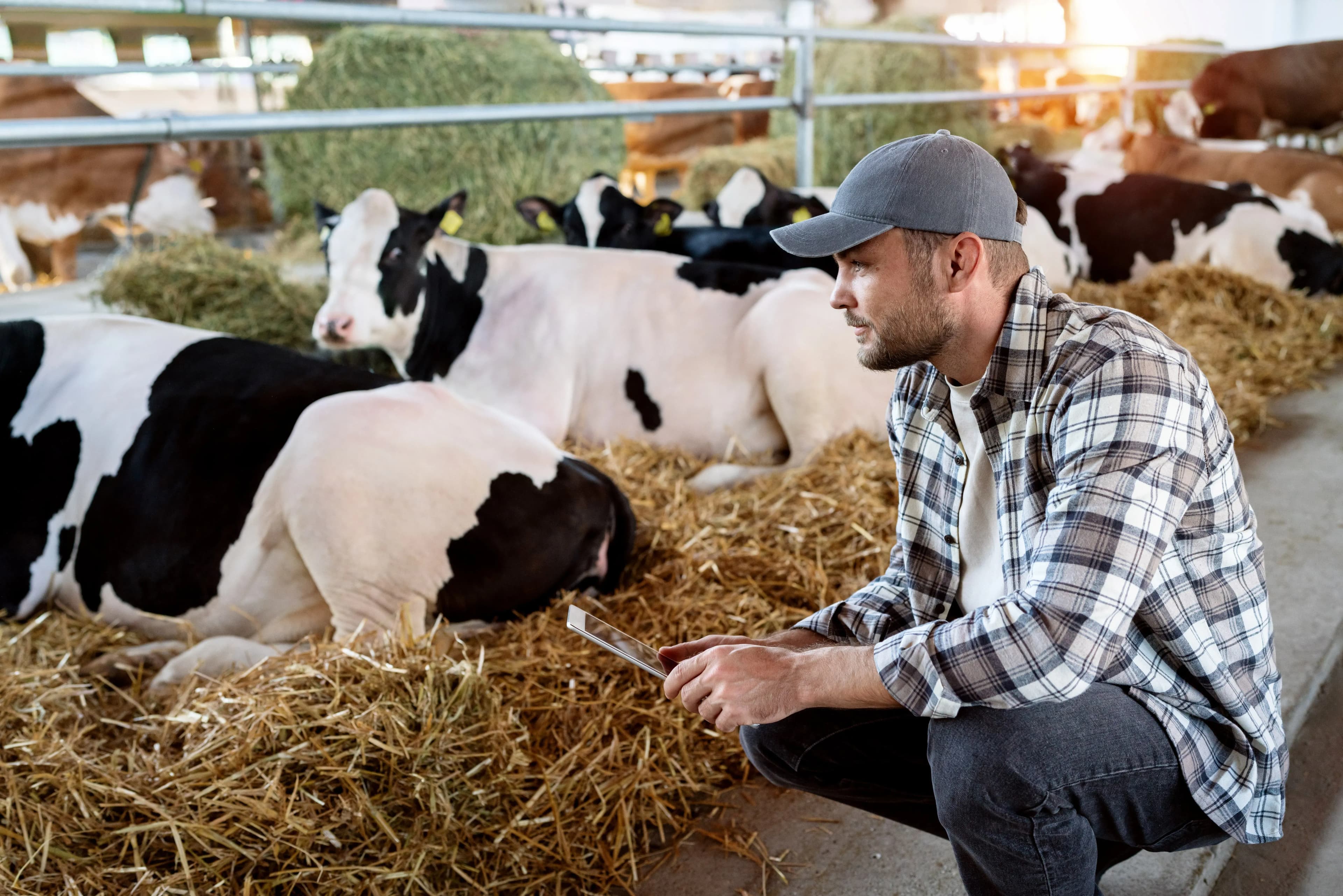 Luftqualität im Stall verbessern - Stallklima mit Schlauchbelüftungssystemen