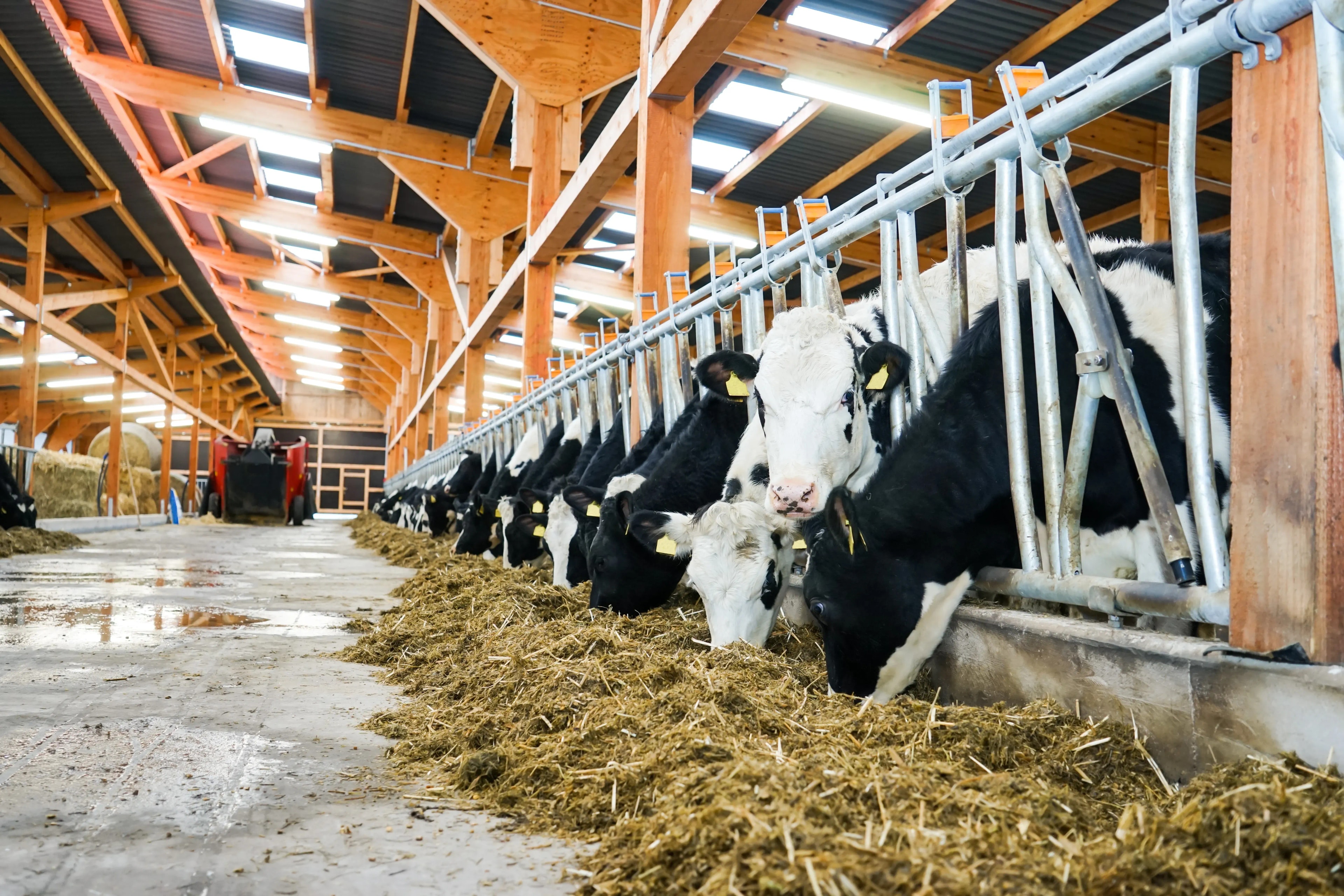Ventilation Solution for Organic Livestock Farms