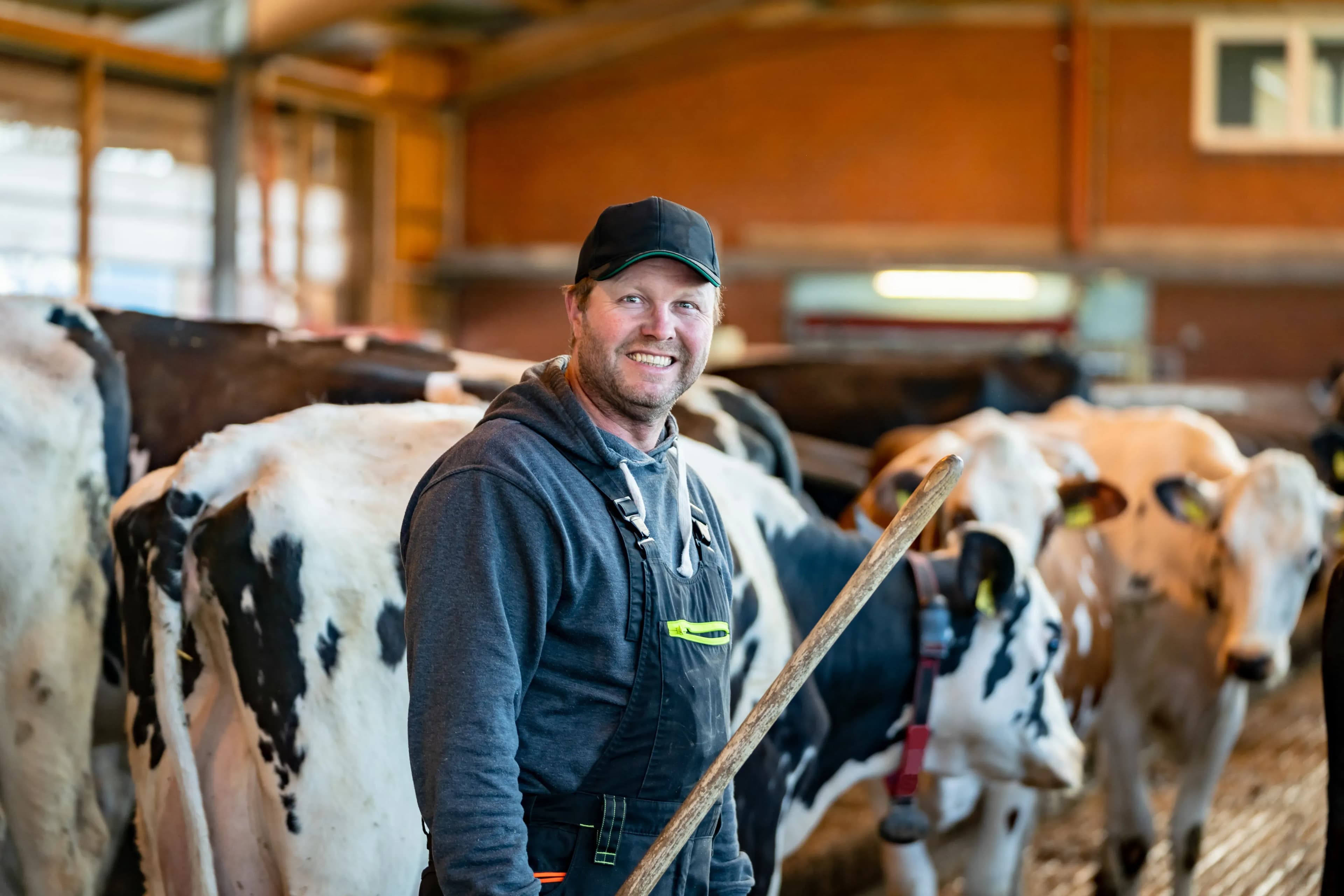 Professionelles Belüftungssystem für im Stall installieren